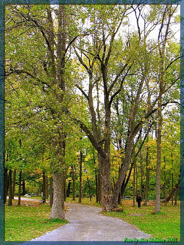 фото "Road in the fall" метки: разное, 