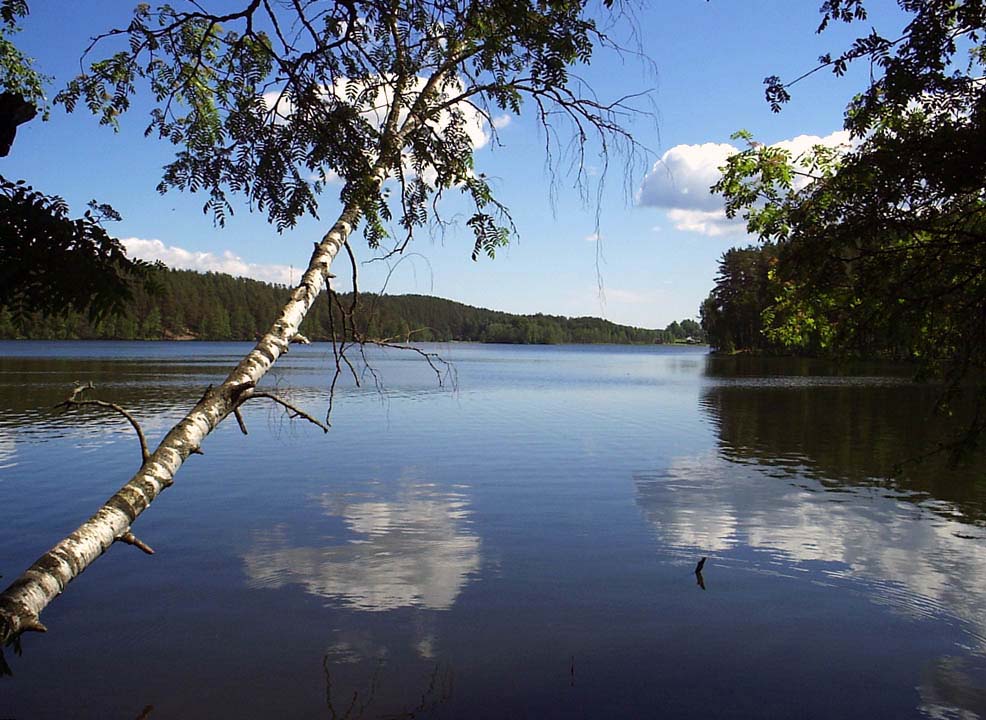 фото "Озеро Петровское" метки: пейзаж, вода, лето