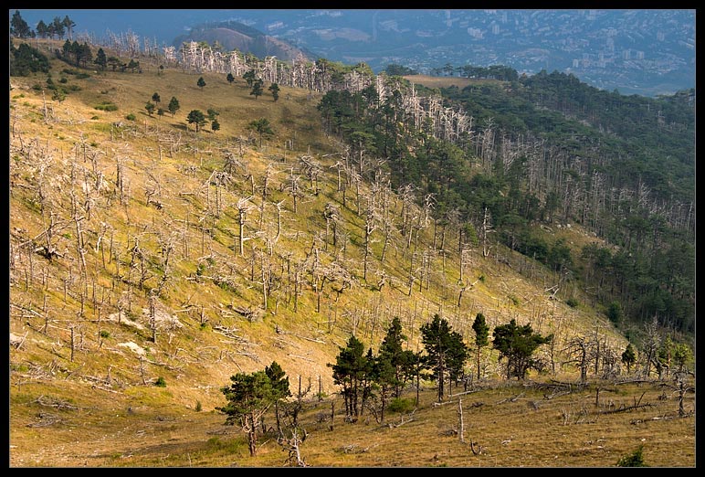 photo "On the plateau 3" tags: landscape, mountains