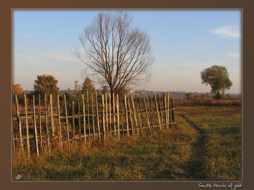 photo "Gentle touch of gold" tags: landscape, nature, autumn