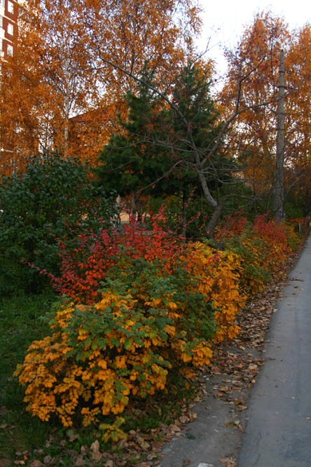 photo "***" tags: landscape, architecture, autumn