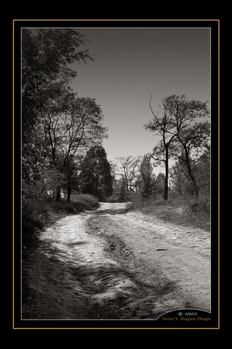 фото "Чёртова дорога." метки: черно-белые, пейзаж, лес