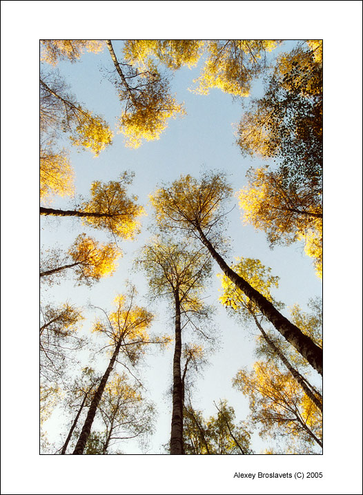 photo "The Fall is somewhere at height" tags: landscape, nature, autumn