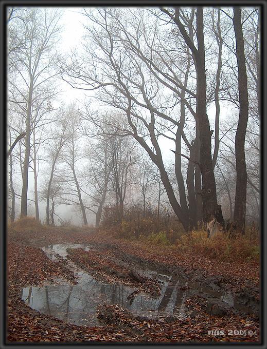 photo "***" tags: landscape, autumn, forest