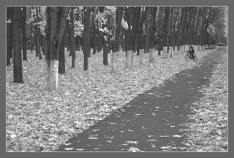 фото "autumn outlines" метки: пейзаж, черно-белые, осень