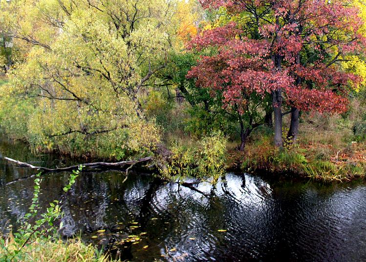 фото "Осень 2005." метки: пейзаж, природа, осень