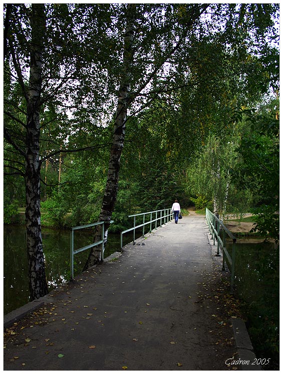 photo "По дороге через мост..." tags: landscape, forest, summer