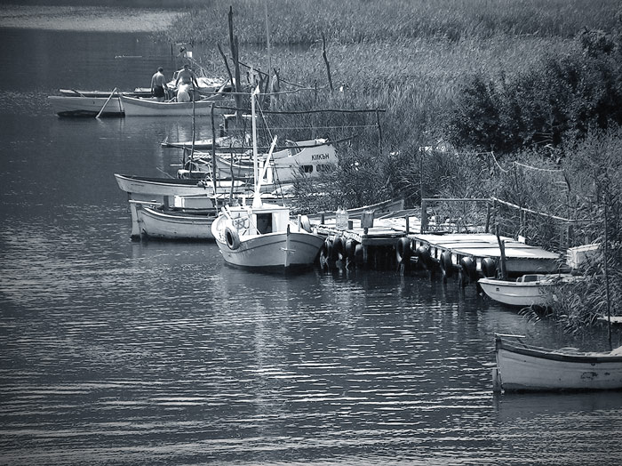 photo "The Creek" tags: landscape, summer