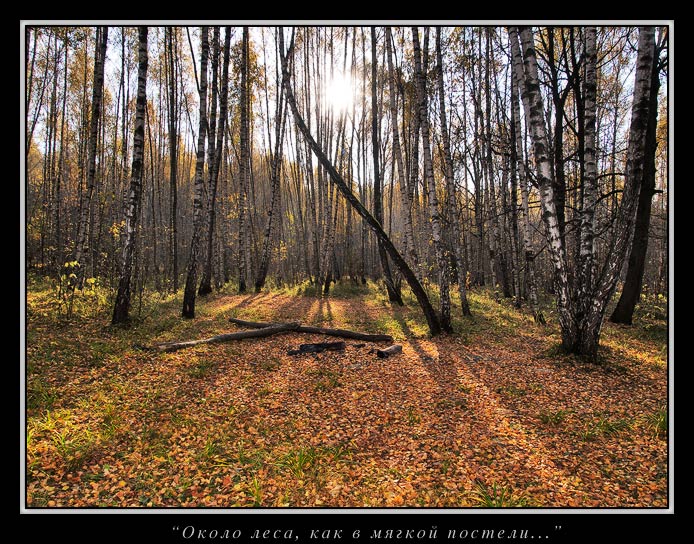 фото ""Около леса, как в мягкой постели..."" метки: пейзаж, лес, осень