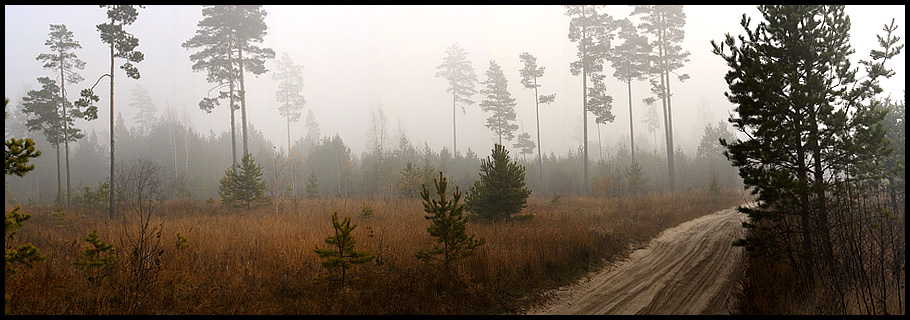 photo "MISTical landscape" tags: landscape, autumn, forest