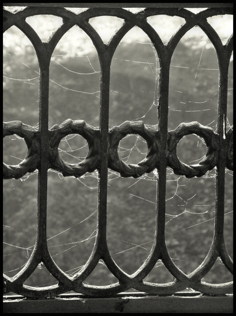 photo "Lattices" tags: architecture, landscape, 