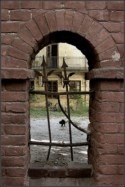 фото "Про черную кошку #3" метки: архитектура, природа, пейзаж, домашние животные