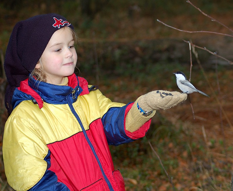 photo "Take it please!" tags: nature, portrait, children, wild animals