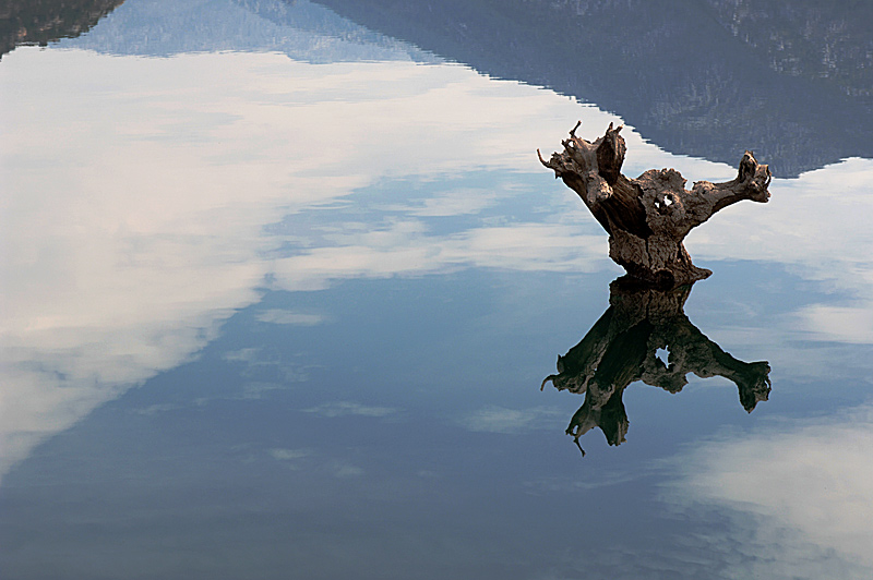 photo "Trunck reflection!" tags: landscape, clouds, water