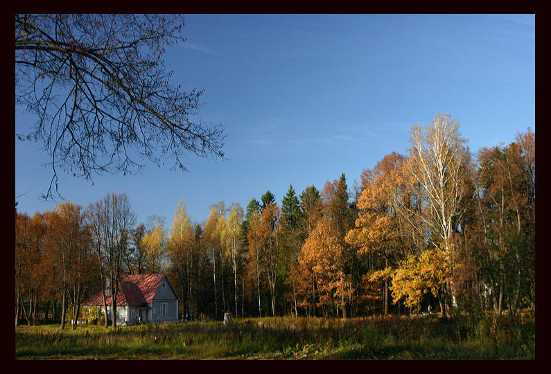 photo "Autumn into Abramtsevo (cont.)" tags: landscape, autumn, forest