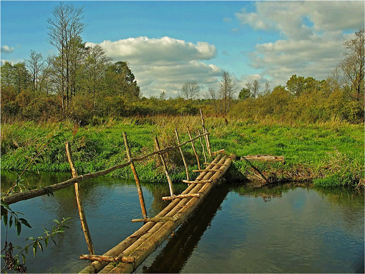 photo "In three poles birch the bridge." tags: landscape, autumn, water