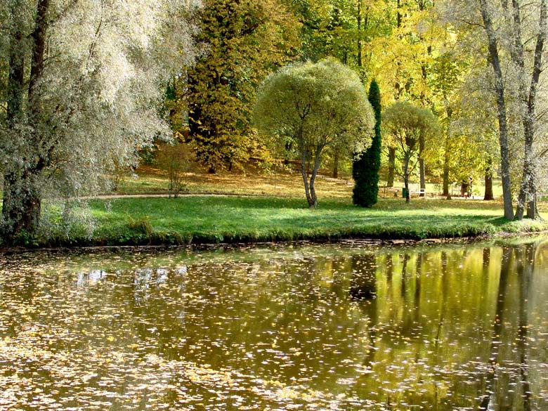 фото "осень в "Пушкинских горах"" метки: пейзаж, осень
