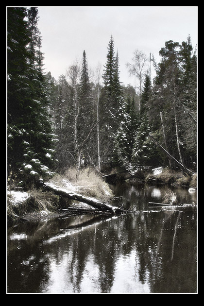 photo "Calmness of the nature" tags: landscape, forest
