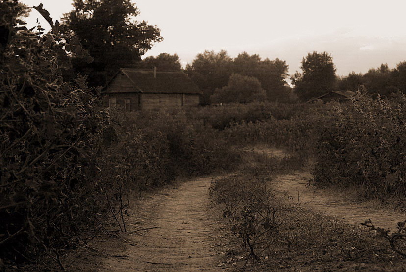 photo "Road" tags: landscape, nature, autumn