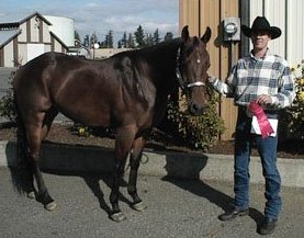 photo "Cowboy and His Horse" tags: nature, pets/farm animals