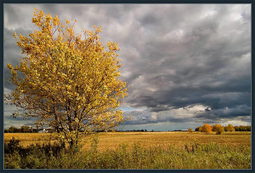 photo "And Little Bit About The Fall" tags: landscape, autumn, clouds