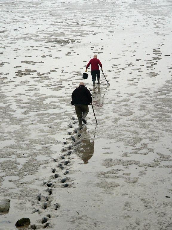 photo "Searching for crustacean gold" tags: misc., 