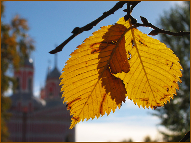 фото "Двое" метки: пейзаж, жанр, осень