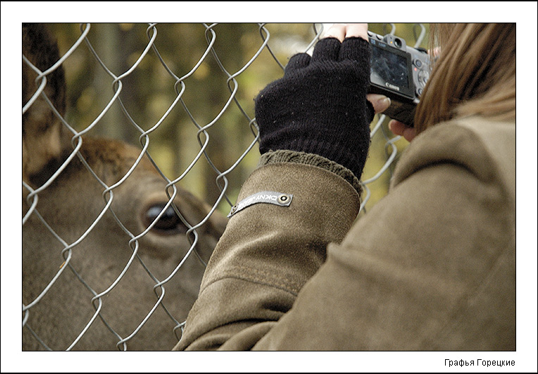 photo "Instincts" tags: genre, nature, wild animals