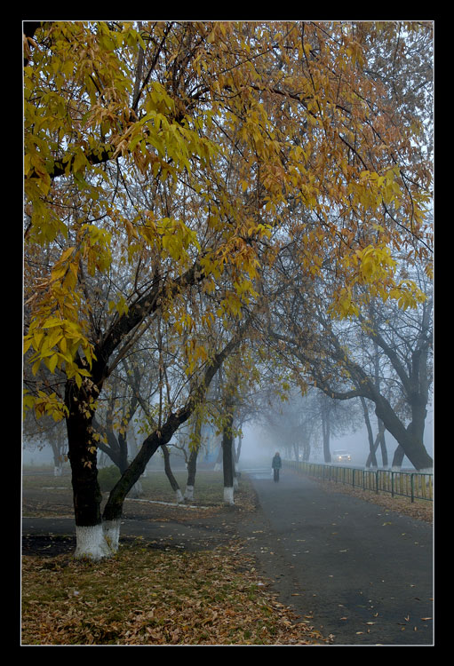 photo "Blue mist" tags: misc., landscape, autumn