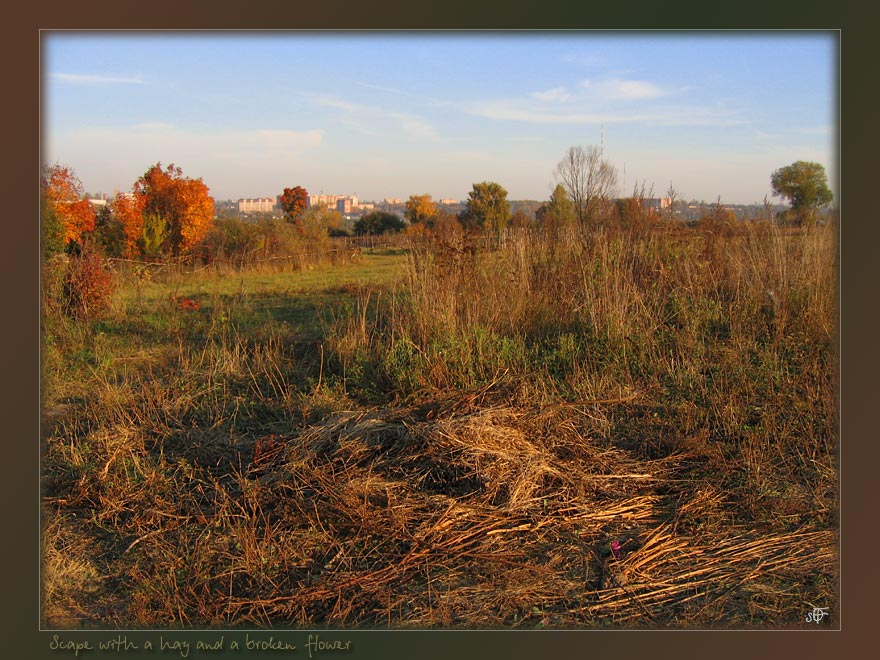 photo "Scape with a hay and a broken flower" tags: landscape, nature, autumn