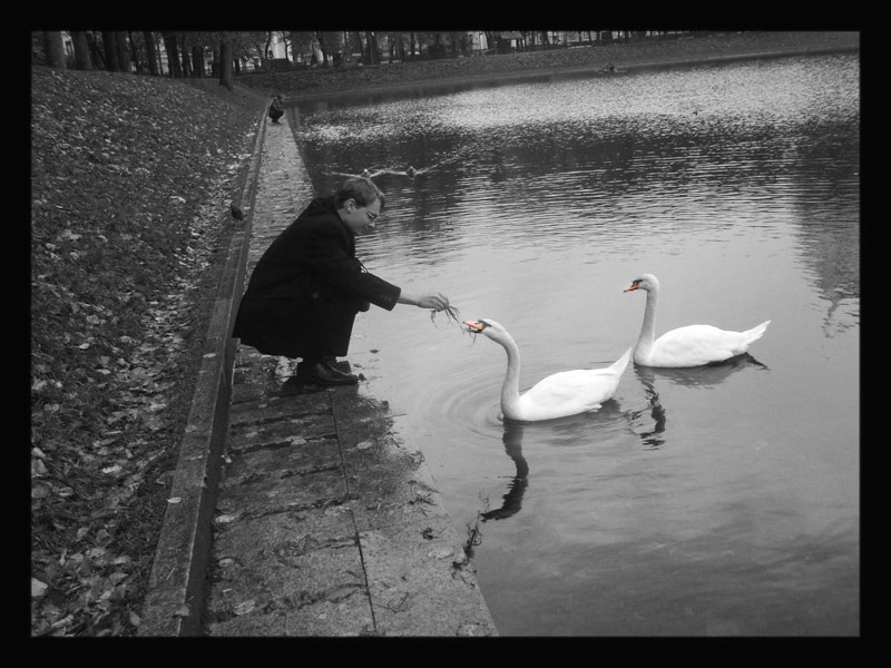 photo "Black and White" tags: genre, 