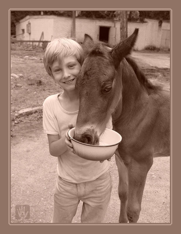 photo "Pavlik" tags: portrait, nature, children, pets/farm animals