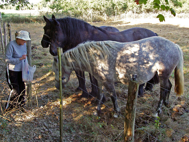 photo "Lunch time" tags: misc., nature, pets/farm animals