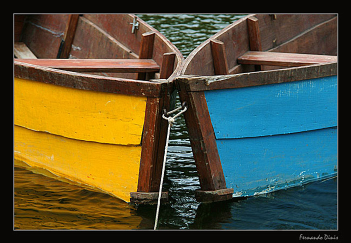 фото "In Love" метки: пейзаж, жанр, вода