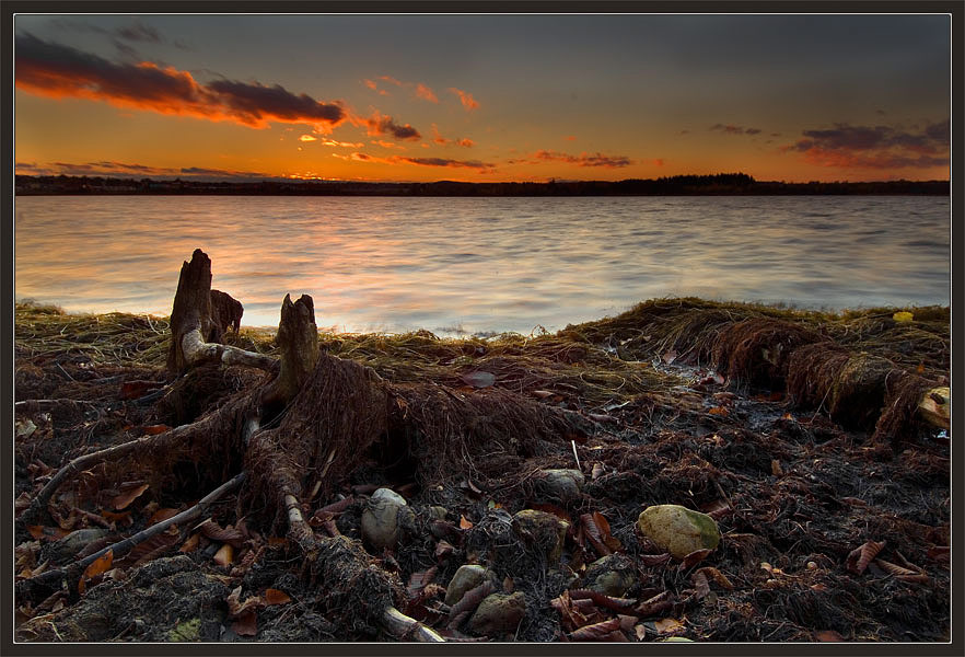 photo "The Last Light of October Day" tags: landscape, autumn, sunset