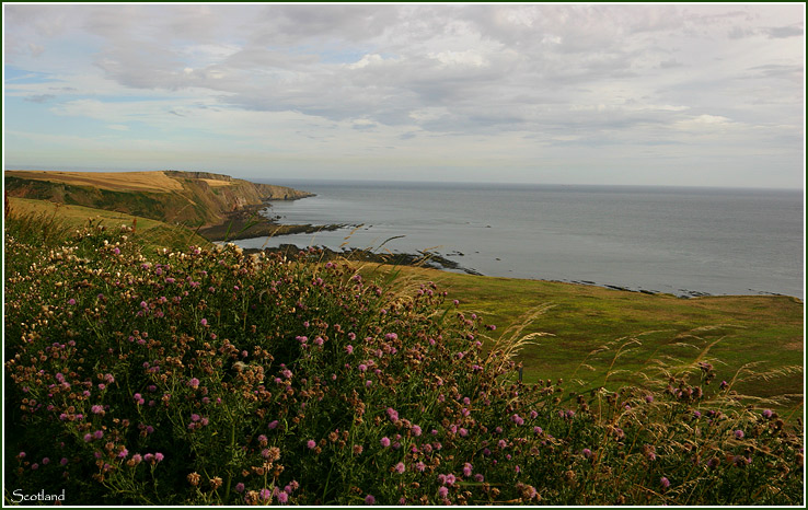 photo "Wind..." tags: travel, landscape, Europe, water