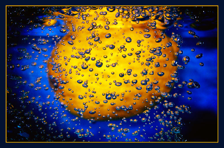 photo "Yelow plot on blue" tags: macro and close-up, underwater, 