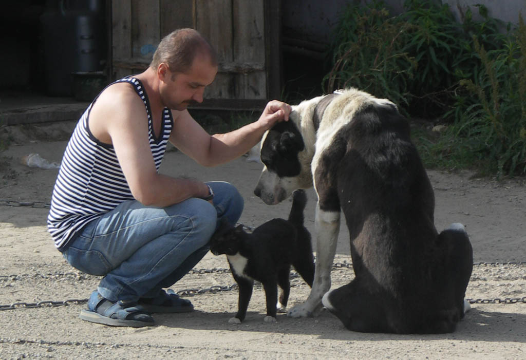 photo "Three comrades." tags: nature, pets/farm animals