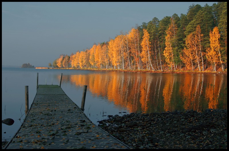 photo "Ruska" tags: landscape, autumn