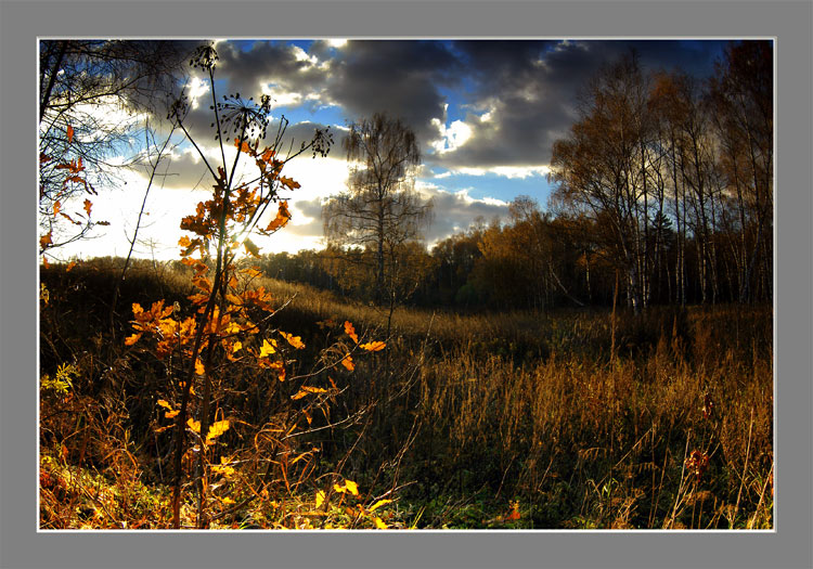 фото "На закате" метки: пейзаж, осень