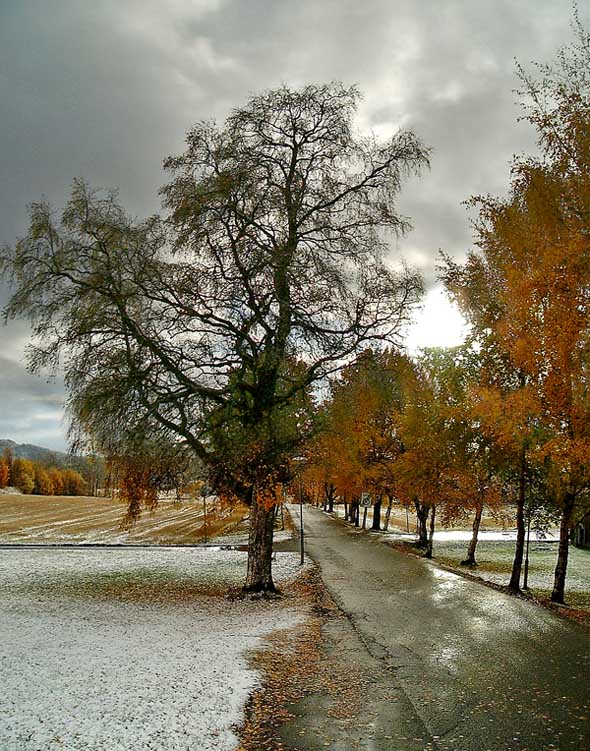 photo "October" tags: landscape, autumn