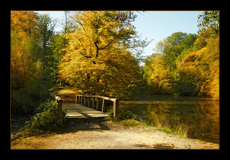 photo "The bridge (in autumn paints)" tags: landscape, autumn, forest