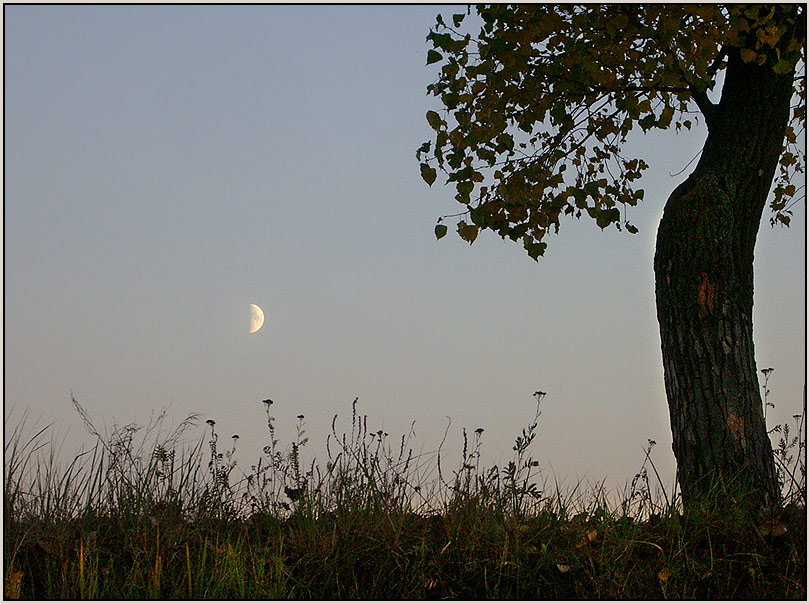 фото "Вечером" метки: пейзаж, портрет, осень