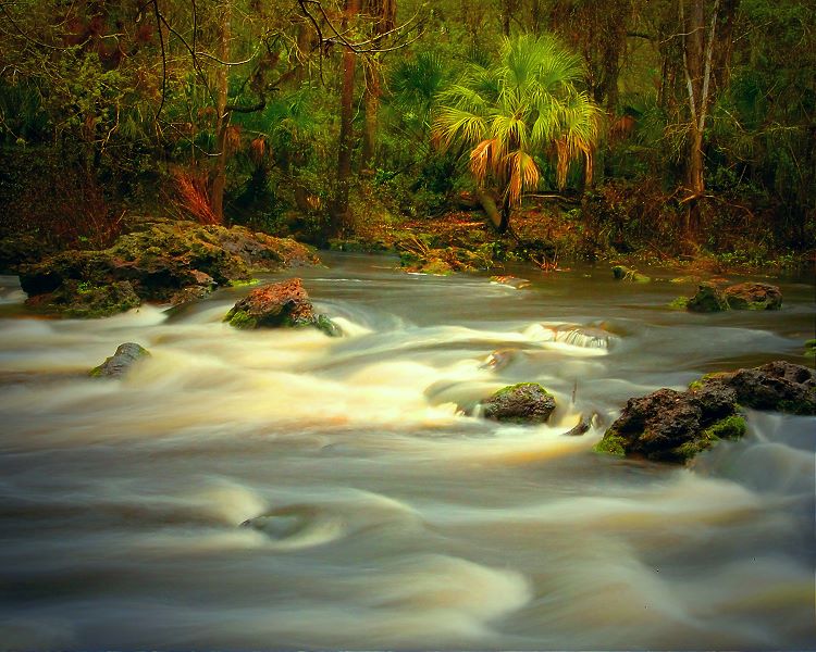 photo "The Rapids in Warm Light" tags: landscape, water