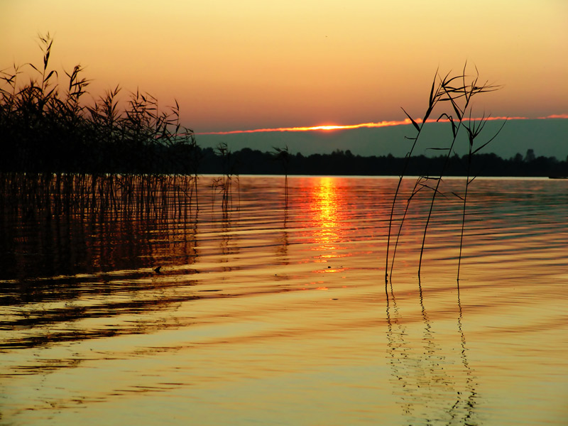 photo "The sun in a cloud " - to bad weather..." tags: landscape, sunset, water