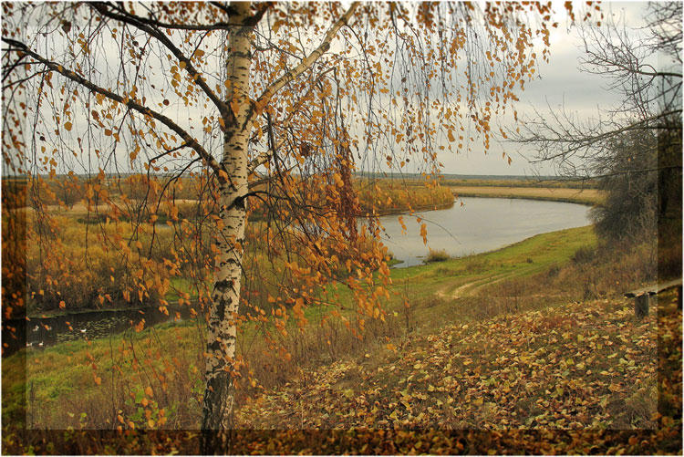 photo "Autumn on Berezina." tags: landscape, autumn, water