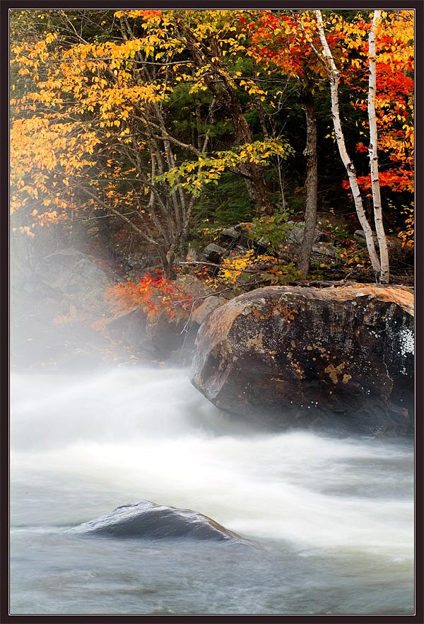 фото "Поток осени" метки: пейзаж, вода, осень