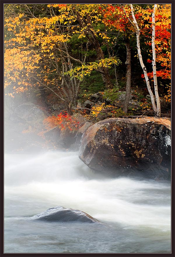 photo "The Fall Stream" tags: landscape, autumn, water