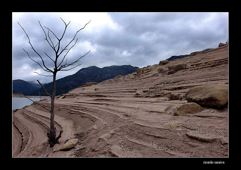 photo "after the water" tags: landscape, 