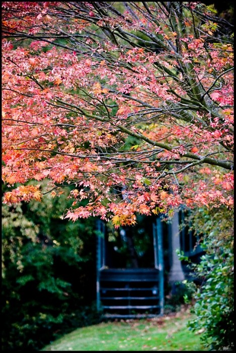 photo "c h a n g e s" tags: landscape, autumn